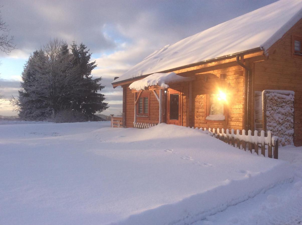Villa Blockhaus Harzblick4C Braunlage Esterno foto