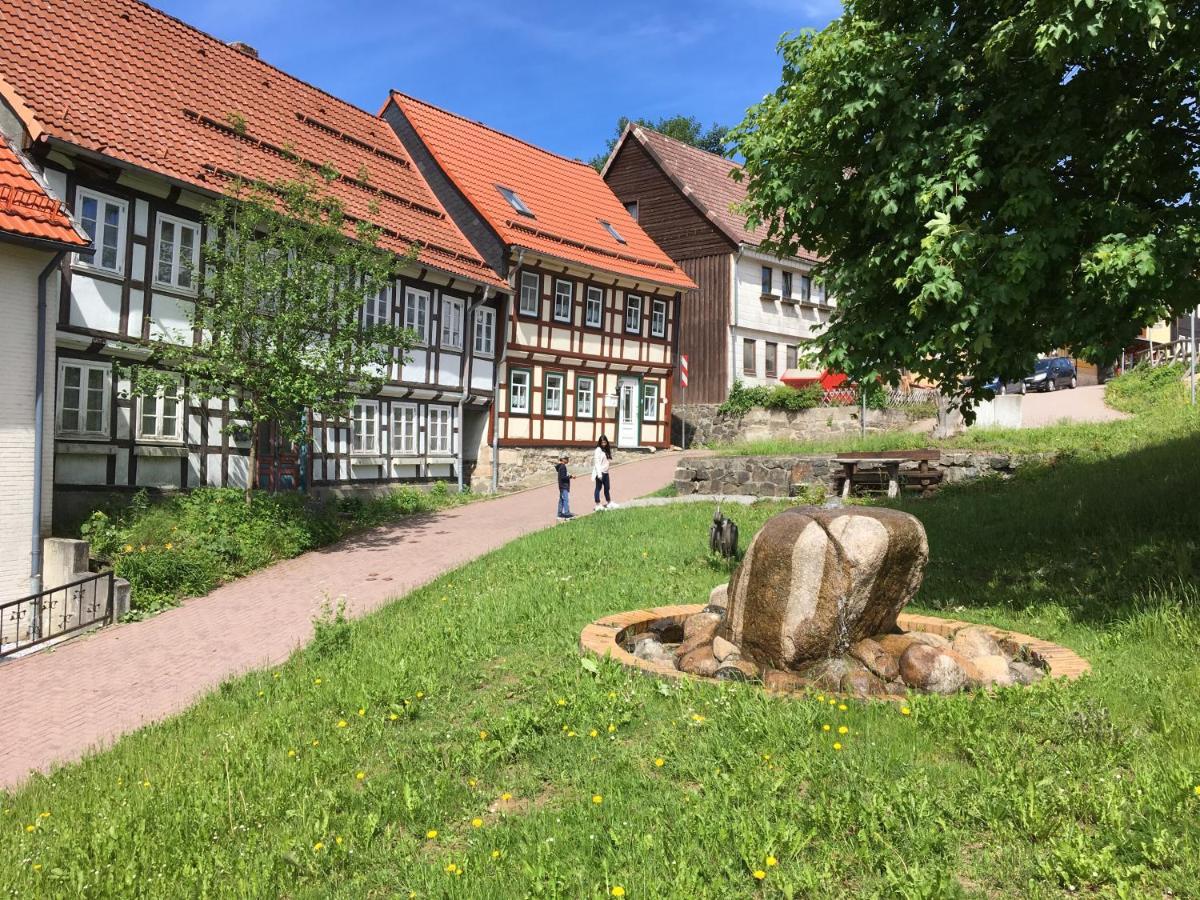 Villa Blockhaus Harzblick4C Braunlage Esterno foto