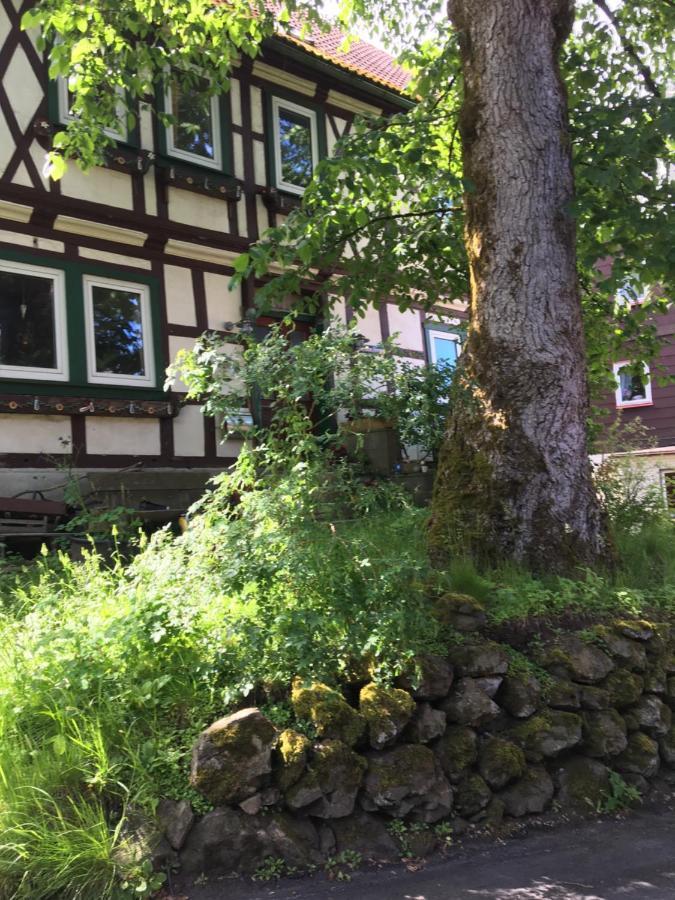 Villa Blockhaus Harzblick4C Braunlage Esterno foto